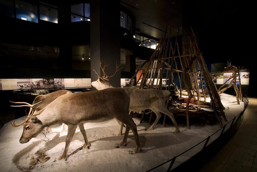 Rovaniemi: Arktikum Science Centre and Museum Entry Ticket - Accessibility and Getting There From Rovaniemi City Centre