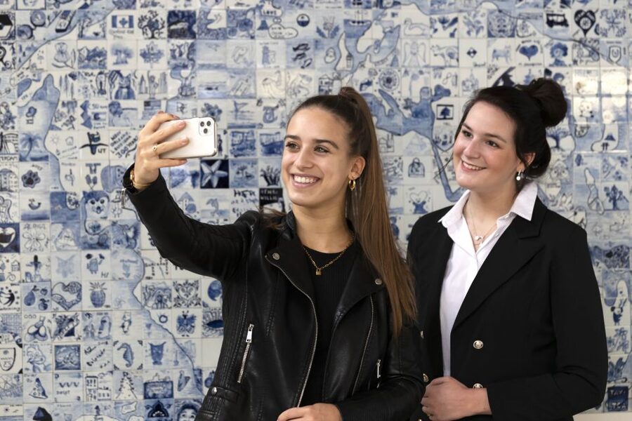 Royal Delft: Delftblue Factory and Museum - Seeing workers at work: what to watch for in the painting rooms