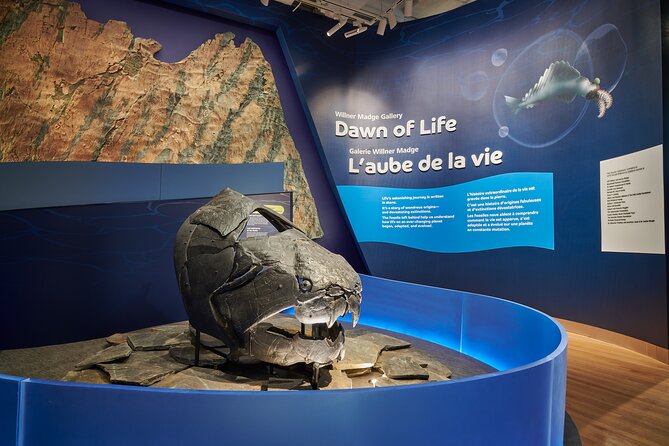 Royal Ontario Museum Admission - Royal Ontario Museum in Toronto: a big, satisfying visit in 3 to 4 hours