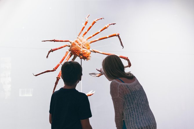 Royal Ontario Museum Admission - Art and world cultures: Chinese highlights and Indigenous artifacts