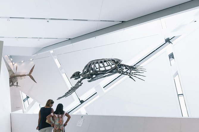 Royal Ontario Museum Admission - Roman, ancient history, and the surprise exhibits you’ll remember