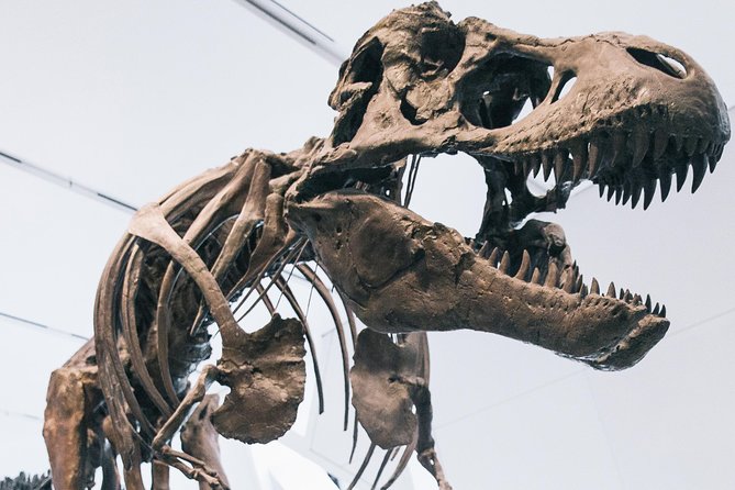 Royal Ontario Museum Admission - Getting in smoothly: mobile ticket entry and museum screening