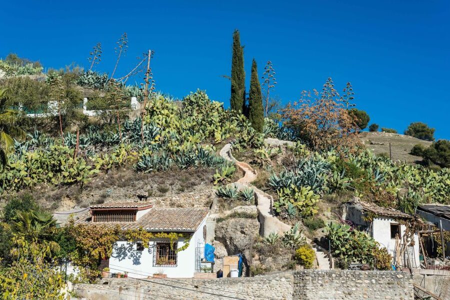 Sacromonte Caves Museum Admission Ticket - Key Highlights at a Glance