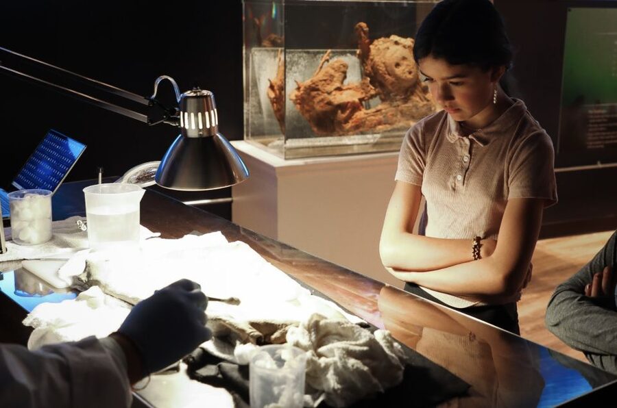 Salem: Pirate Museum with Authentic Treasures Entry Ticket - Discovery Lab: watching artifacts come up in real time