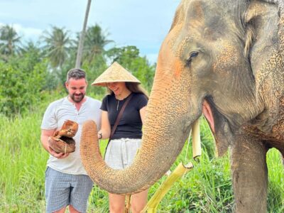 Samui:Elephant Jungle experience & The First Elephant Museum - Price and value for a 3-hour guided program