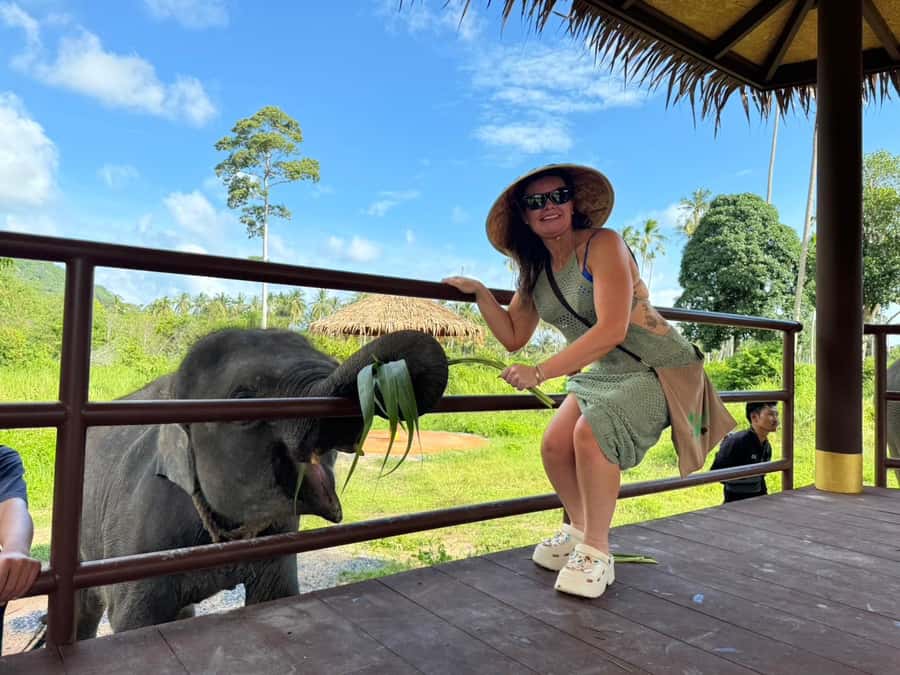 Samui:Elephant Jungle experience & The First Elephant Museum - Seed bombs with a slingshot: a fun activity with real habitat intent