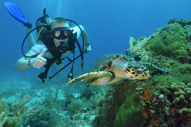 Scuba Diving Under Water Museum and Reef for beginners - Key Reasons This Cancun Beginner Scuba Program Works