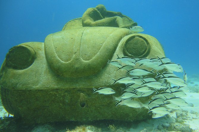 Scuba Diving Under Water Museum and Reef for beginners - Who This Is Best For (And Who Should Ask Questions)