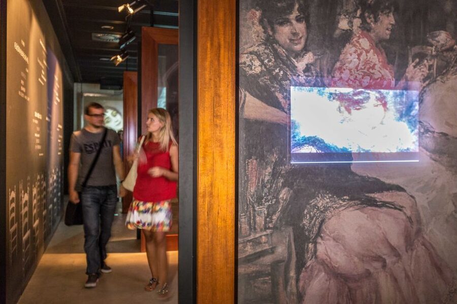 Seville: Museum of Flamenco Dance Admission Ticket - Key Highlights You’ll Actually Feel While Visiting