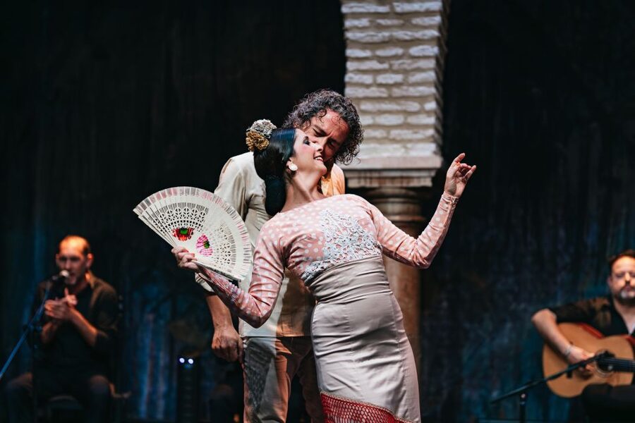 Seville: Puro Flamenco Show with Optional Museum Ticket - Where to Find the Show: Museo del Baile Flamenco in Santa Cruz