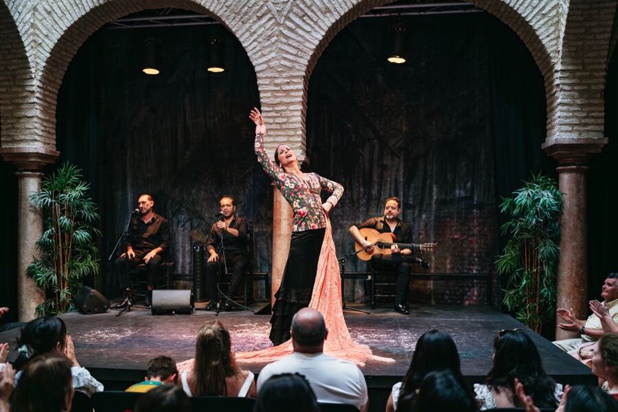 Seville: Puro Flamenco Show with Optional Museum Ticket - The 1-Hour Puro Flamenco Show: What You’ll See