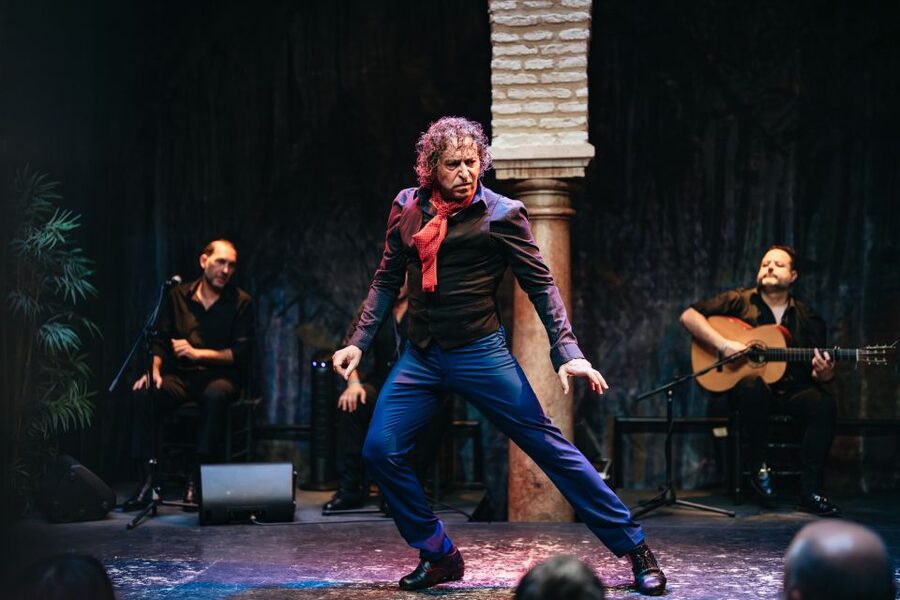 Seville: Puro Flamenco Show with Optional Museum Ticket - The Flamenco Styles and Costumes: Alegrías, Castanets, and Long Trains