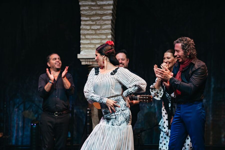 Seville: Puro Flamenco Show with Optional Museum Ticket - Museum Add-On: How to Use the Flamenco Dance Museum Ticket