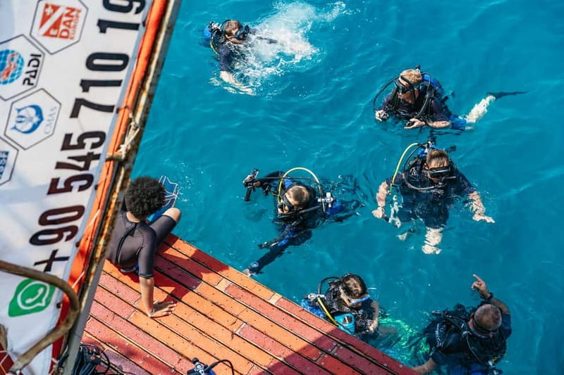 Side: Scuba Diving, Underwater Museum, 2 Dives incl. Lunch - Price and value: is $49 per person a fair deal?