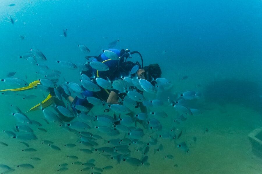 Side: Scuba Diving, Underwater Museum, 2 Dives incl. Lunch - The Underwater Museum stop: why it’s more than a photo moment