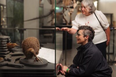 Skip the Line: Auckland Museum General Admission Ticket - Māori treasures and Pacific connections that feel intentional