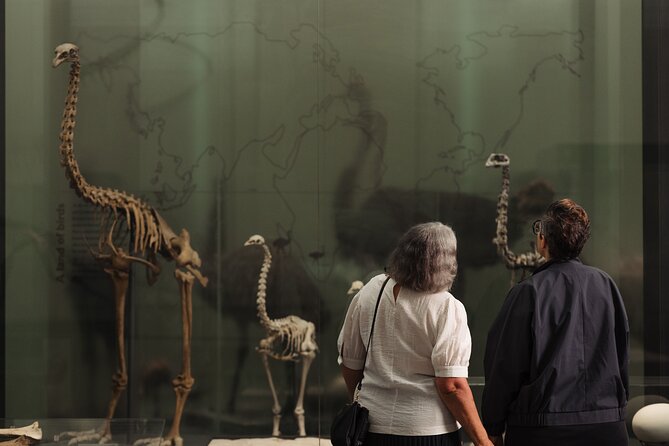 Skip the Line: Auckland Museum General Admission Ticket - Military history: solemn, and not out to shock you