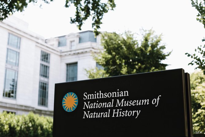 Smithsonian Museum of Natural History - Exclusive Guided Tour - Hope Diamond to the gem-and-mineral rooms: seeing scale and meaning