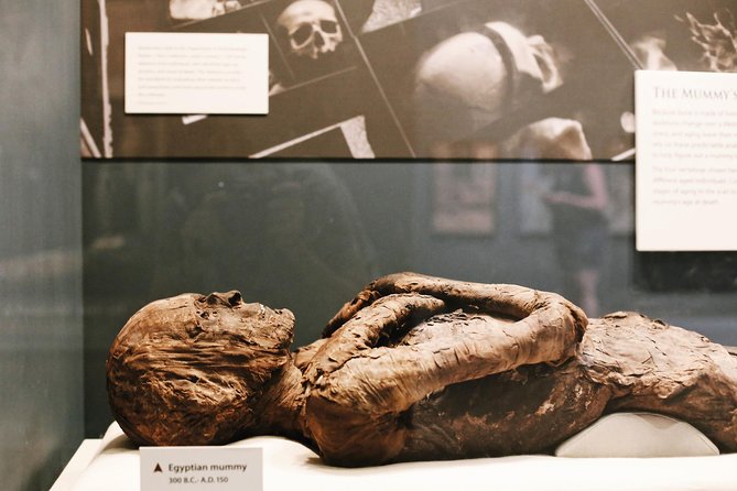 Smithsonian Museum of Natural History - Exclusive Guided Tour - Mammals, ice, and the move from past to present