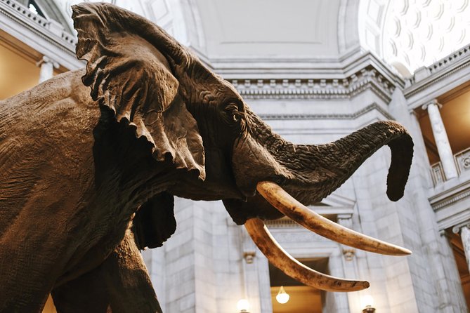 Smithsonian Museum of Natural History - Exclusive Guided Tour - How to plan your two hours (so you actually enjoy it)