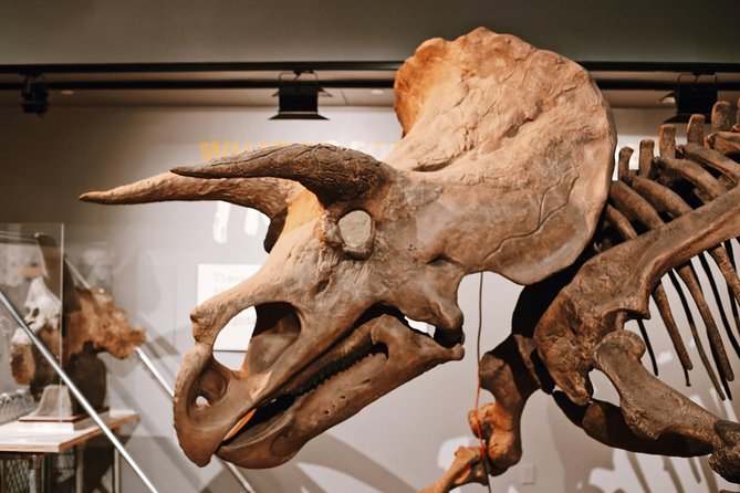 Smithsonian Museum of Natural History - Exclusive Guided Tour - Who should book this exclusive Smithsonian tour