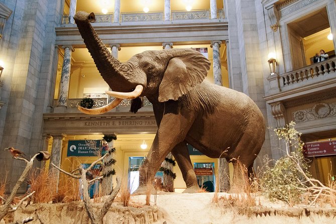 Smithsonian Museum of Natural History - Exclusive Guided Tour - Ancient Egypt mummies: facts with context, not just labels