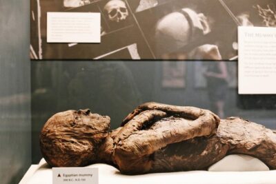 Smithsonian Museum of Natural History Small Group Tour: 8ppl Max - What the Guide Adds (and Why It’s Not Just a Walk)
