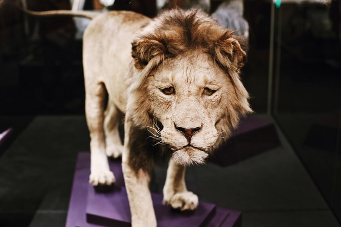 Smithsonian Museum of Natural History Small Group Tour: 8ppl Max - Who This Tour Fits Best