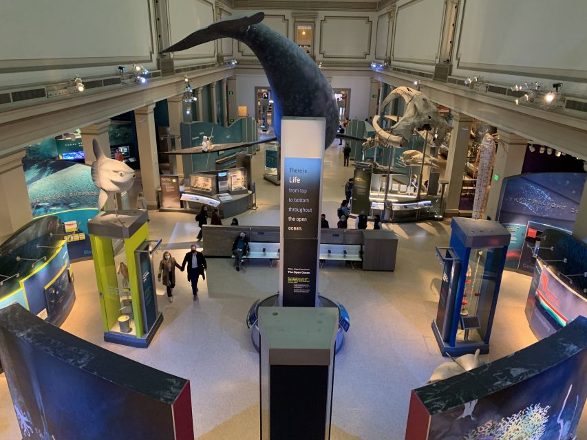 Smithsonian National Museum of Natural History Guided Tour - How This Smithsonian Natural History Tour Works in Real Life