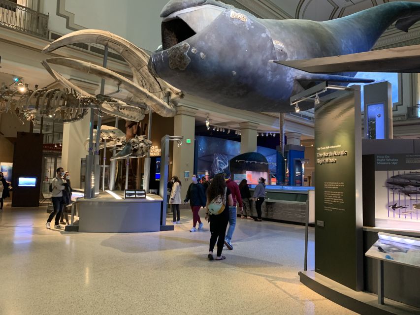 Smithsonian National Museum of Natural History Guided Tour - Gemstones and Ancient Mummies: The Oddball Stops You’ll Remember