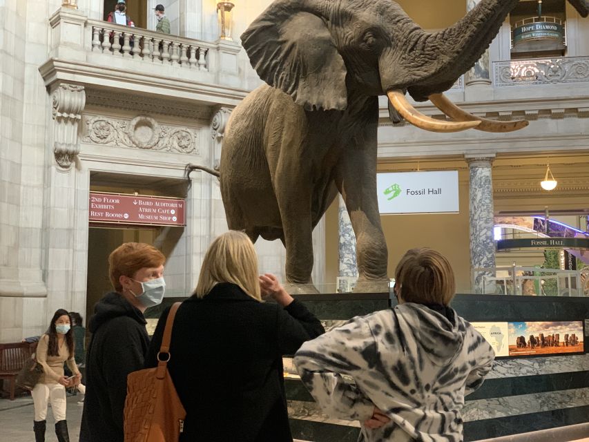 Smithsonian National Museum of Natural History Guided Tour - Choosing Your Guide: Why Names Like Nur Gray and DC Matter
