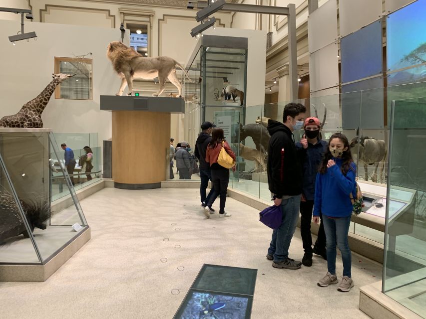 Smithsonian National Museum of Natural History Guided Tour - Price and Value: What $75 Buys When Museum Entry Is Free