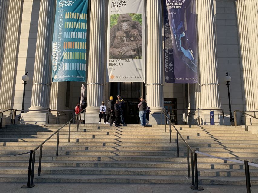 Smithsonian National Museum of Natural History Guided Tour - What to Bring, Where to Meet, and How to Time Your Day