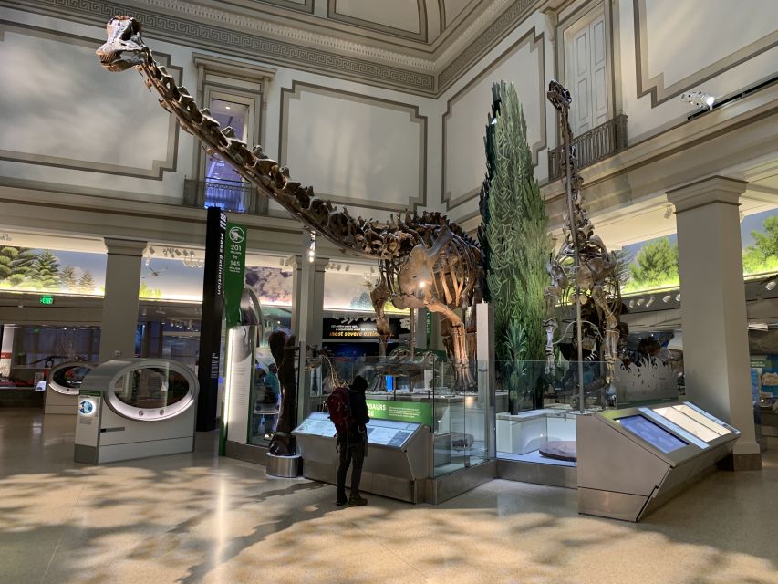 Smithsonian National Museum of Natural History Guided Tour - Who This Smithsonian Guided Tour Fits Best