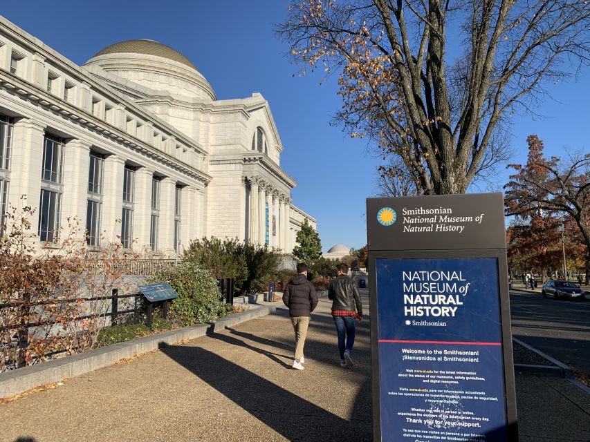 Smithsonian National Museum of Natural History Guided Tour - Navigating 145 Million Specimens Without Getting Lost