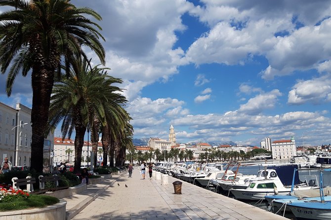 SPLIT-PRIVATE Walking Tour of Diocletian's Palace & Old Town - Key highlights worth knowing before you go