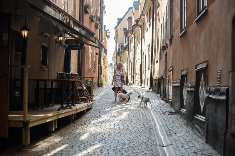 Stockholm: Old Town & Vasa Museum Skip-the-Line Private Tour - Quick hits before you go