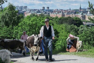 Stockholm: Skansen Open-Air Museum Admission Ticket - The value question: $27 for a full day of “both sides” of Sweden