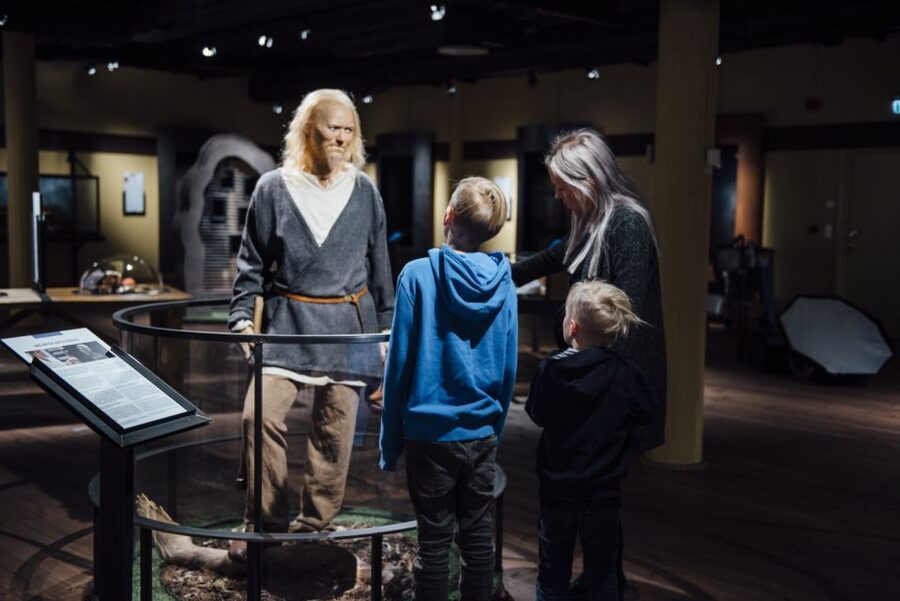 Stockholm: The Viking Museum Exhibition and Viking Ride - Audio guide included: your phone and headphones are part of the deal