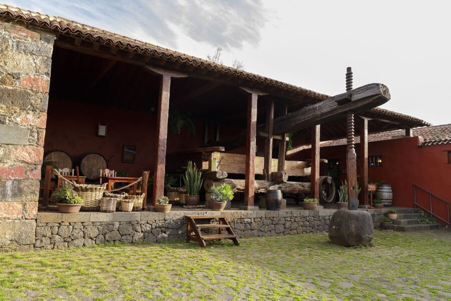 Tenerife: Wine Museum Ticket with Local Wines & Food Tasting - The 17th-century house and gardens: views, grape types, and a calm pace