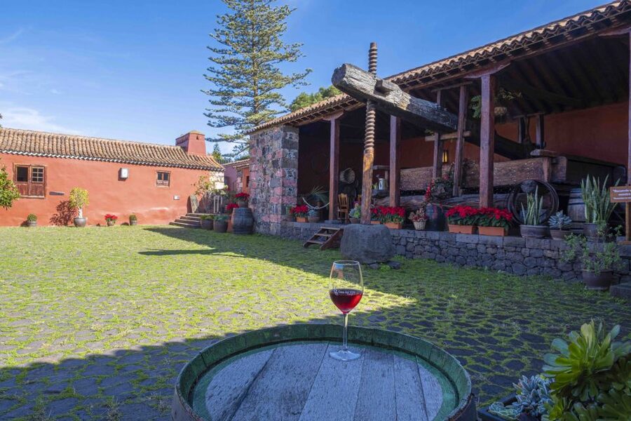 Tenerife: Wine Museum Ticket with Local Wines & Food Tasting - Who should book Casa del Vino, and who should skip it