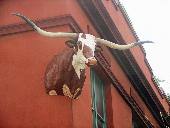 The Buckhorn Saloon & Museum and Texas Ranger Museum Admission - Quick hits before you go