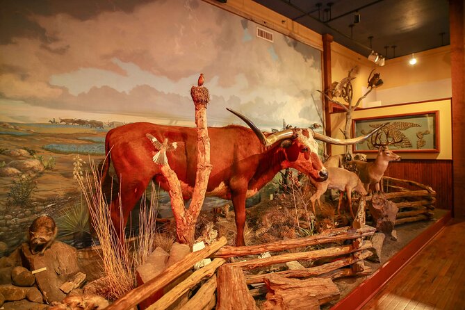 The Buckhorn Saloon & Museum and Texas Ranger Museum Admission - How long to plan and how to pace it without rushing