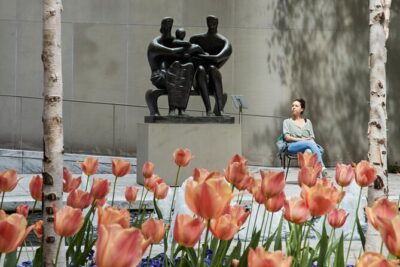 The Museum of Modern Art Admission Ticket - What Your $30 Ticket Really Covers (Beyond Museum Doors)