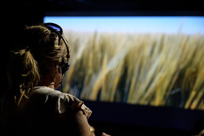 The Viking Planet Museum Ticket - Selfie zone, free Wi‑Fi, and the guide app that helps you read the screens