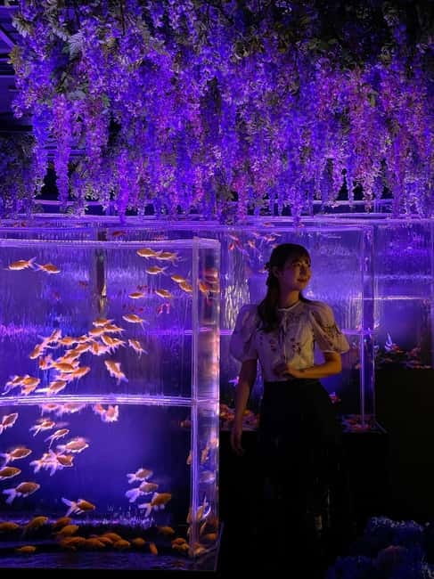 Tokyo: Art Aquarium Museum GINZA Entry Ticket - What You Actually Do During Your 1-Hour Visit