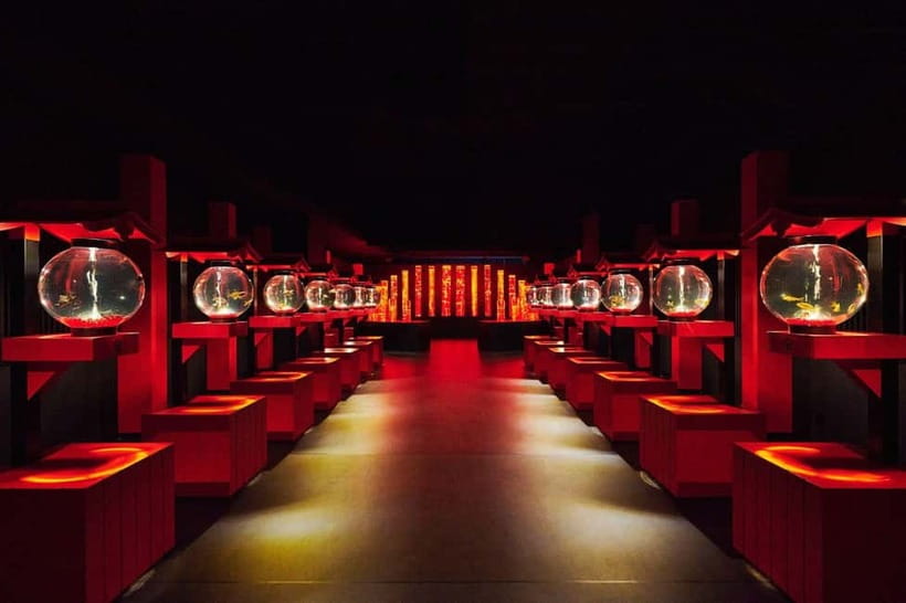 Tokyo: Art Aquarium Museum GINZA Entry Ticket - The Modern Art Twist on Traditional Edo Goldfish Appreciation
