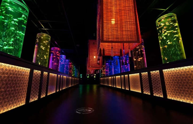 Tokyo: Art Aquarium Museum GINZA Entry Ticket - Light, Music, and Scent: The Parts People Don’t Expect