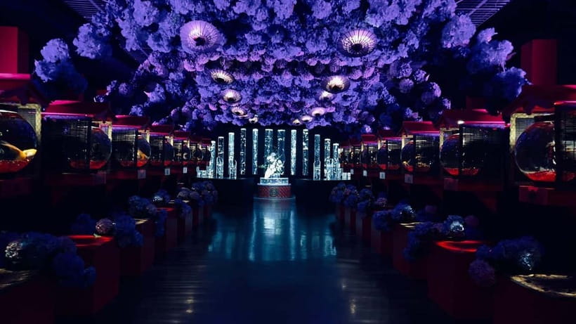 Tokyo: Art Aquarium Museum GINZA Entry Ticket - Price and Value: Is $17 Worth It?