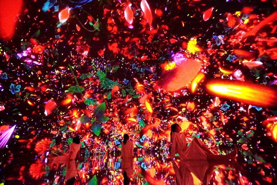 Tokyo: teamLab Planets TOKYO Digital Art Museum Entry Ticket - Who Should Book (and Who Should Skip)